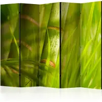 Artgeist Bamboo - Nature Zen 5-osainen sermi