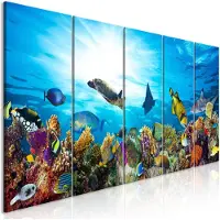Artgeist Coral Reef Narrow taulusetti