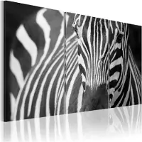 Artgeist Rouva Zebra taulusetti