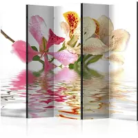 Artgeist Tropical Flowers - Orchid Tree (Bauhinia) 5-osainen sermi