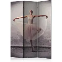 Artgeist Classical Dance - Poetry Without Words 3-osainen sermi