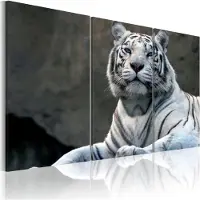 Artgeist White Tiger taulusetti