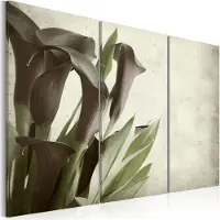 Artgeist Callas - Vintage taulusetti