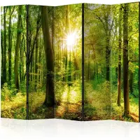 Artgeist Forest Rays 5-osainen sermi