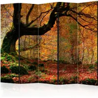 Artgeist Autumn, Forest And Leaves 5-osainen sermi