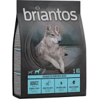 Briantos 4kg Adult lohi & peruna viljaton koiranruoka