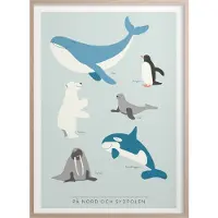 Kunskapstavlan® På Nord- Och Sydpolen - Multi/patterned - 50X70CM