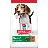Hill's Pet Nutrition - Puppy Healthy Development Medium Lamb & Rice - Kuivaruoka pennuille 2,5 kg - Koirat - Koiranruoka - Kuivaruoka