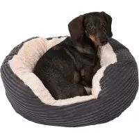 Zooplus Exclusive Cozy Cord -lemmikinpeti P81xL63xK18cm