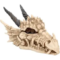 Nemesis Now Dragon Skull arkku