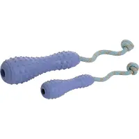 Ruffwear Gourdo -koiran heittolelu, violetti