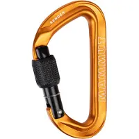 Mammut - Sender Carabiner - Ruuvilukitteiset sulkurenkaat oranssi