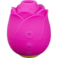 ROMP Rose
