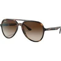 Ray-Ban RB4376-710/13