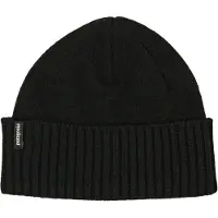 Patagonia Brodeo Beanie