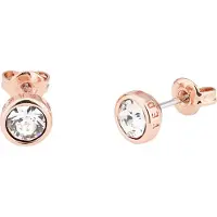 Ted Baker Sinaa Crystal tappikorvakorut TBJ1084-24-02