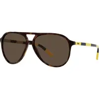 Ralph Lauren Aurinkolasit - Polo - PH4173 - Shiny Dark Havana