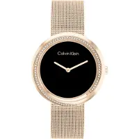 Calvin Klein Twist 25200151