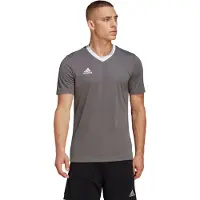 Adidas Treenipaita Entrada 22 - Harmaa/valkoinen, koko Small