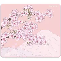 X-raypad Aqua Control II Hiirimatto - Sakura Pink - XL