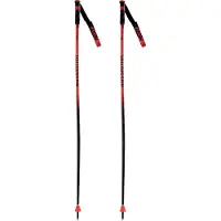 Rossignol Hero Gs-sg Kävelysauvat
