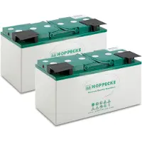 Kärcher Akku AGM 2.815-090.0; 24 V; 80 Ah; 2 kpl.