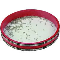 Reig Musicales Ocean Diameter 28 Cm Rummu