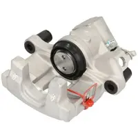 LAUBER Jarrusatula 77.3462