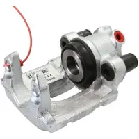 LAUBER Jarrusatula 77.0147