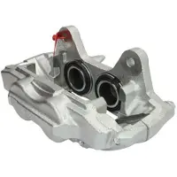 LAUBER Jarrusatula 77.3869
