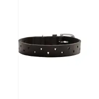 Hunter - Koiran panta Aalborg Soul naudannahka Musta S 45 - Kaula 30-38cm - Koirat - Kaulapannat