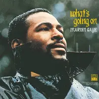 Universal Music - What's Going On (LP)