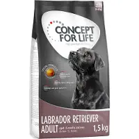 Concept for Life 12kg Labrador Retriever Adult koiranruoka