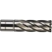 Milwaukee Reikäsaha HSS 4932343295; 20x50 mm