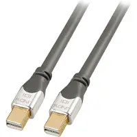 Lindy Mini Displayport-kaapeli 2 M