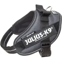 Julius-K9 Idc Power Mini Koiran Valjaat