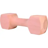 Trixie 25 cm puinen noutokapula