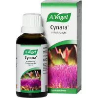 A.Vogel Cynara