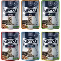 Happy Cat 48x85g Atlantic Salmon Pouch Meat in Sauce kissanruoka