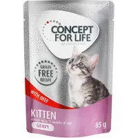 Concept for Life 48x85g Kitten viljaton nautaa kastikkeessa kissa