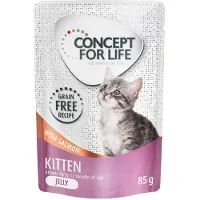 Concept for Life 24x85g Kitten viljaton lohi hyytelössä -kissanruoka