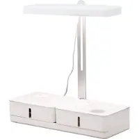 Airam Daisy 20W/835 1350lm kasvivalaisin