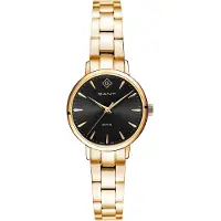 Gant Park Avenue 28 G126011