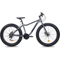 Insera Muffle 26' 21-v fatbike