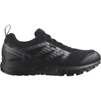 Salomon Wander Gtx