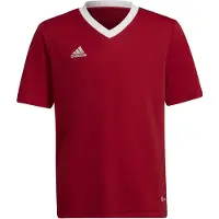 Adidas Treenipaita Entrada 22 - Punainen/valkoinen Lapset, koko 140 cm