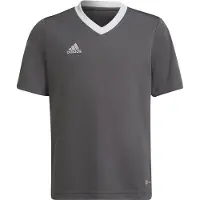 Adidas Ent22 Jsy Y - Grey - 140