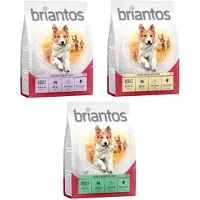 Briantos 4x1kg Adult lammas & riisi koiran kuivaruoka