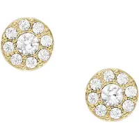 Fossil Jewelry korvakorut JF04375710