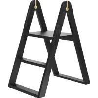 Gejst Reech stepladder -tikkaat Musta